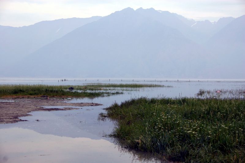 070304 Hope Seward Hope (10010)